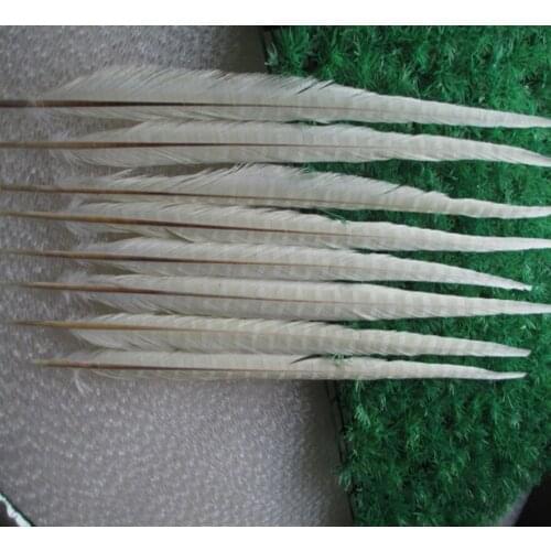 Wholesale 200 pcs beautiful White Pheasant Feather 16-18 inches 40-45 cm free shipping