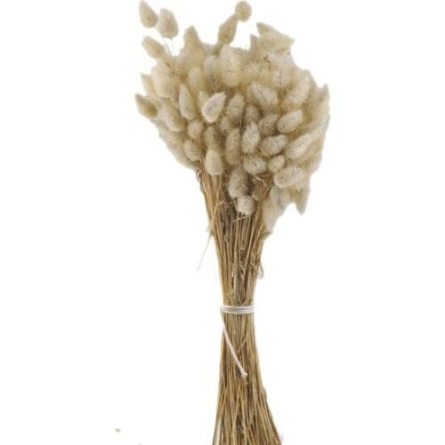 Dry flower Natural Dried flower Colorful 35 cm1 Bundle decoration artificial flower искусственный цветок