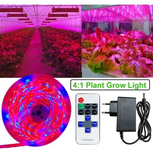Phyto LED Plant Growth Light Full Spectrum Hydroponic LED Strip Diode Tape Dimmable 2835 for Seeding Plants Flowers Greenhouses