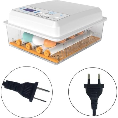 220V Eggs Incubator Brooder Bird Quail Chick Hatchery Poultry Hatcher Turner Automatic Farm Incubation Tools New 2021