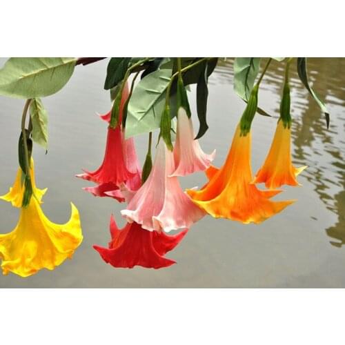 Factory outlets] Mandolin radish simulation flower artificial flowers simulation flowers manufacturers opened with wedding house