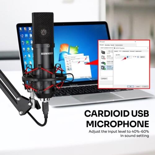 SEENINSEER Portable Audio Equipment