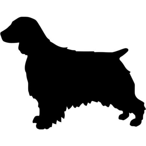 12.3*9.5CM Welsh Springer Spaniel Car Window Windshield Decorative Stickers Funny Animal Car Styling Decals C6-0214