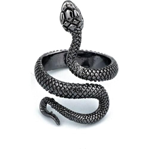 Hoopet Paired Rings
