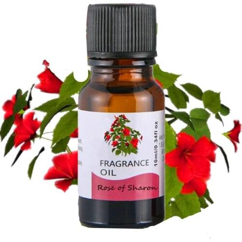 20ml Water-soluble Flower Fruit Essential Oil Relieve Stress for Humidifier Fragrance Lamp Air Freshening Aromatherapy TSLM2