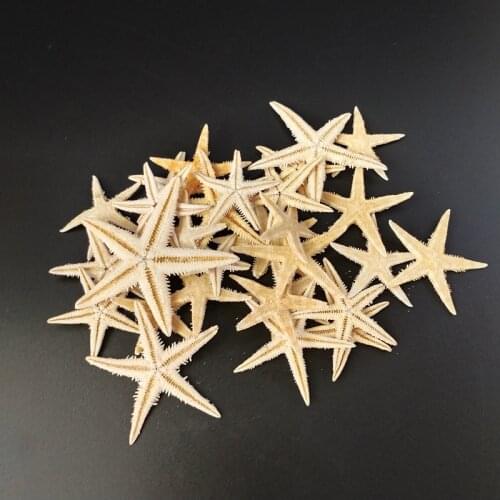 HappyKiss 20pcs Natural sea star sea shells Trinket Photography Prop Beautiful Stars Wedding DIY Sea Portable Mini starfish
