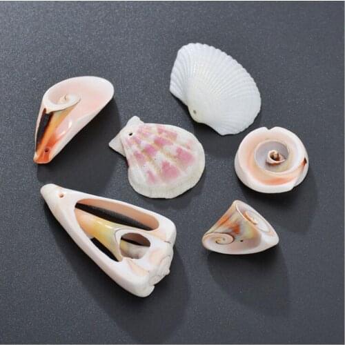 10pcs Fashion small fresh creative popular new conch earrings clothing accessories accessories