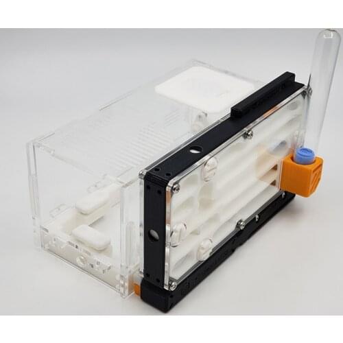 Popular Acrylic Ant Farm White 3D Printed Ant Nest Creative Unlimited Expansion Nest Anthill Ant Reptile Container