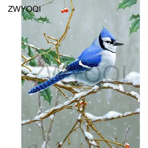 Full Square Diamond embroidery Cross stitch thrush bird DIY3D Diamond painting bird Full Round Diamond mosaic thrush nightingale