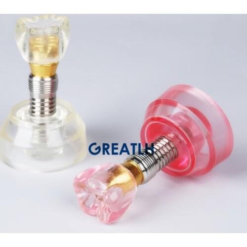 Dental Model Teeth Implant Model Dental Teaching Model