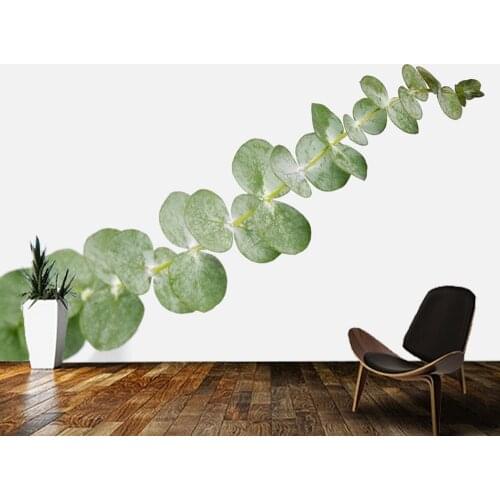 Papel de parede Eucalyptus round leaves on white plant art 3d wallpaper mural,living room tv wall bedroom wall papers home decor