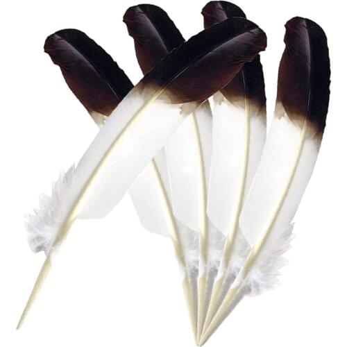 10Pcs BNatural Plume Party Wedding Decoration White Black Turkey Feathers for Crafts Home DIY Feather Long Accessories 25-30cm