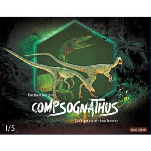 DINO DREAM 2Pcs 1:5 Scale Male Compsognathus Coelophysidae Dinosaur Model Collector Animal Adult Toy Gift