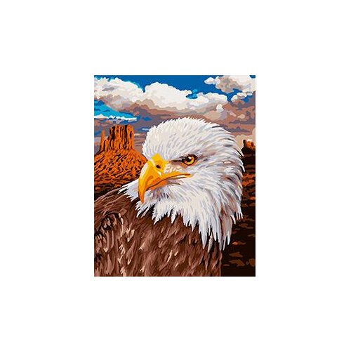 MaHuaf-X1219 Schipper Bald eagle painting by numbers hand painted coloring by numbers on canvas Wall Pictures for Living Room