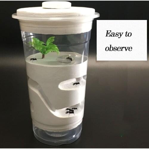 Pet Ant Plaster Nest/Box/Castle Insect Supplies Simple Feeder Tweezers