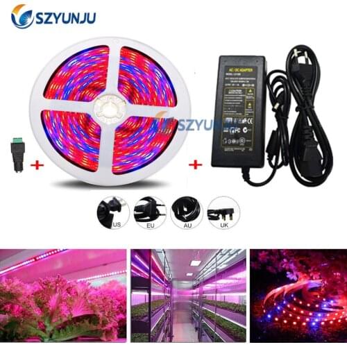 5M 5050 300 LED Plant Grow Strip Light Full Spectrum Veg Red+Blue IP20 non-waterproof IP65 waterproof with 12V 5A LED power