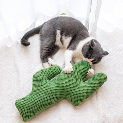 Cactus Catnip Cat Toy Pet Plush Chew Dog Toys Teeth Grinding Tools Durable Tug Fetch Bite Toys for Small and Large Animals