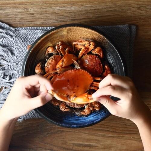 FANCITY Japanese and Korean style 9 inch ramen bowl ceramic noodle bowl Salad Bowl Restaurant specialty bowl big bowl soup bowl