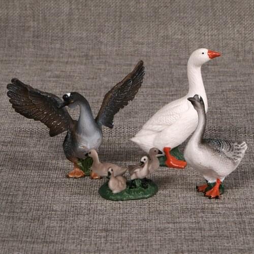 Animal Models Simulation Duck Goose plastic Model Action Figures Figurine Collection Educational toys for kid