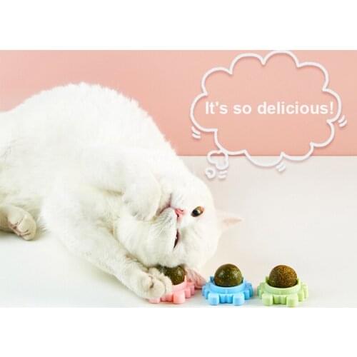 1PC Cat Catnip Snacks Healthy Kittens Cat Toy Cat Supplies Products Natural Training Mint Ball Playing Toys Cat Accessories Pet