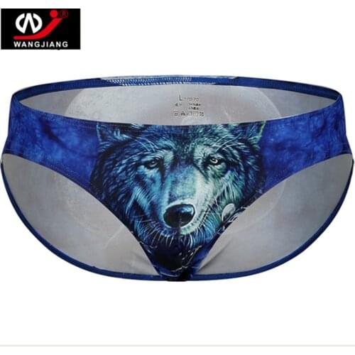Sexy mens briefs Ice silk underpants Plus Size man panties sexy 3d print ultra-thin breathable men underwear 2pcs/lot
