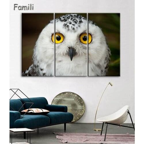 Unframed HD Modern Flying Eagle Canvas Paintings Dropship Print Animals Artwork For Living Room Home Decoration Wall Hanging