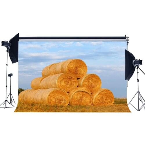 Autumn Farmland Backdrop Straw Hay Bale Green Trees Wheat Field Blue Sky White Cloud Nature Fall Harvest Photography
