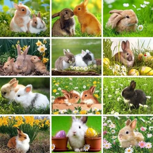 GATYZTORY Rabbit Oil Painting By Number Kits Zero-Based Handpainted On Canvas Animal Color By Number Home Wall Art Decor