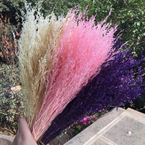 35g/Bouquet,Natural Dried Lover Grass,Real plant Display flower for Wedding Party Home Decoration Accessories,flower arrangement