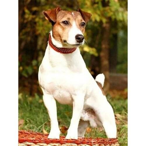 Diamond Art 5d Diamond Painting Kit Picture Needlework Cross Stitch Diamond Mosaic Gift Needlework Diy Dog European Home Decor