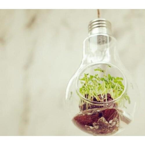 100 pcs Transparent Clear Wedding Crafts Crystal Hanging Light Bulb Shape Glass Vase Flower Plant Container Pot Home Decoration