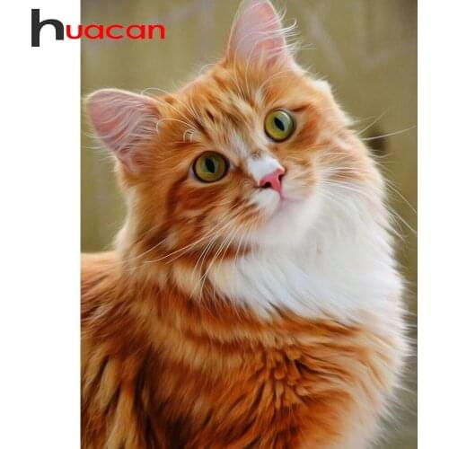 Huacan Diamond Embroidery Mosaic Cross Stitch Cat 5D Diamond Art Painting Kits Animals Decoration For Home Gift