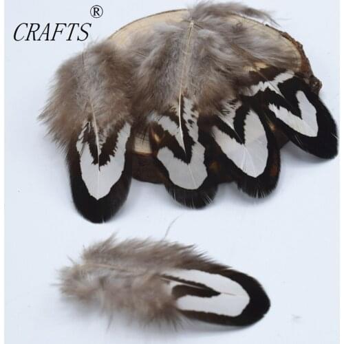 New! 20 pc high quality pheasant feathers, 2-3 "/ 5-7.5cm DIY jewelry decoration