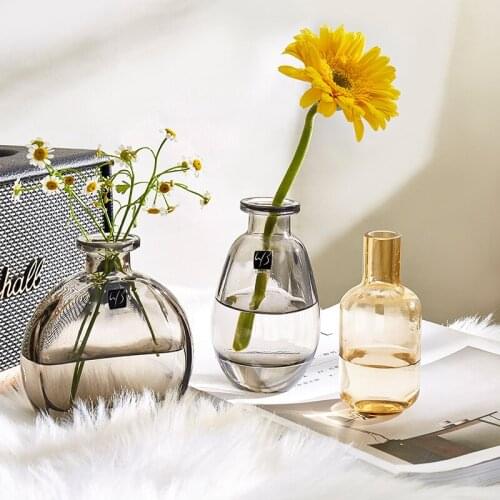 Nordic simple and creative glass hydroponic flowers modern office desktop small fresh hydroponic decorations