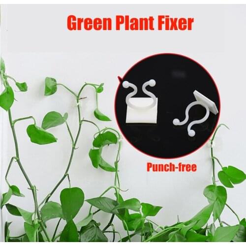Wall Climbing Fixer for Green Plants Green Climbing Vine for Creepers Pasta Vegetables Hooks Creeper Organizer 10Pcs
