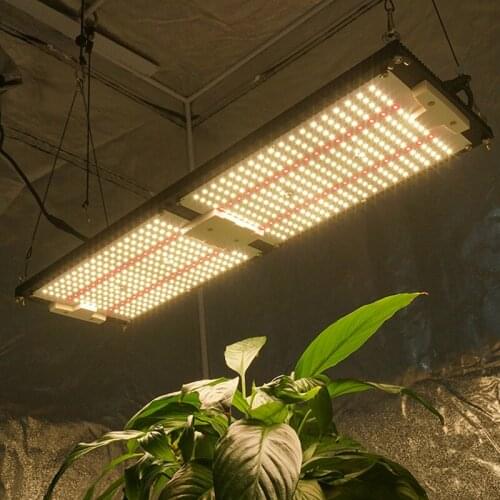 LED Plant Grow Light Kingbrite 240W Samsung LM301H Mix Epistar 660nm Red For 3X3 Grow Tent