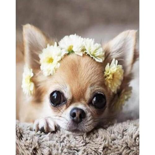 New Full Square 5D Diy Diamond Painting Cute Dog Diamond Embroidery Cross Stitch Rhinestone Diamond Mosaic Art XN1482