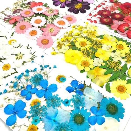 1@# DIY Dried Flowers Uv Resin Natural Flower Stickers Dry Beauty Decal for Diy Epoxy Resin Filling Jewelry Decoration