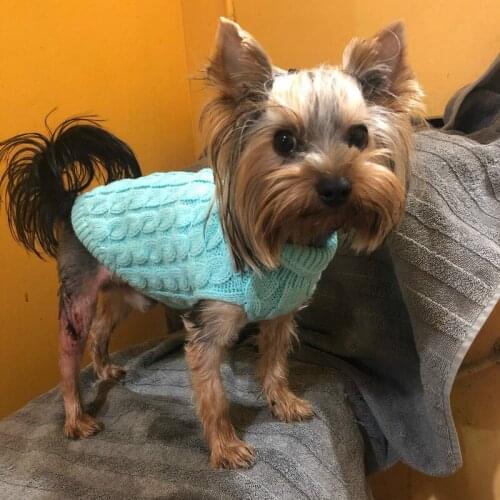 Love Pets Winter Knitted Dog Clothes Warm Jumper Sweater For Small Large Pet Clothing Coat Knitting Crochet Cloth Jersey Perro