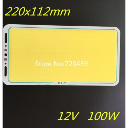 2pcs LED cob module LED lights glowing plate 2mm thickness DC12V 100W led chip Strip COB LED Module panel light 220x112mm