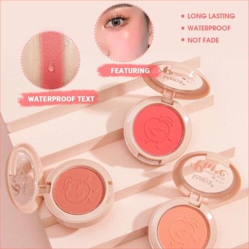 Monochrome Blush Makeup Palette Waterproof And Sweatproof Natural Lasting Mashed Rouge Blush Facial Makeup Cosmetic TSLM1