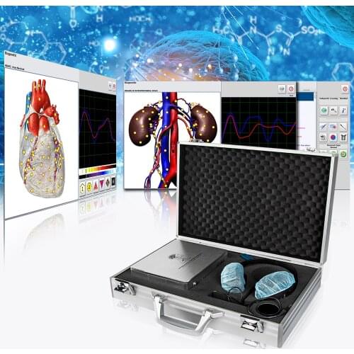 2020 NEW Meta 4025 with allergy testing Machine Made in China