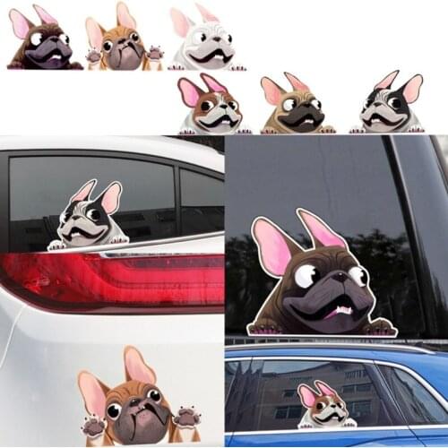 DVSAGF Stickers On The Car