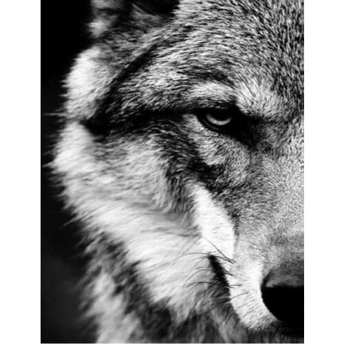 Daimond Painting Animal Diamond Painting 5D Full Cross Stitch Kits EmbroideryDiamond Painting Full Drill