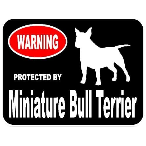 New Personality Miniature Bull Terrier Dog KK Car Stickers Motorcycle Decals Scratches Waterproof PVC 15cm *11cm Accessories