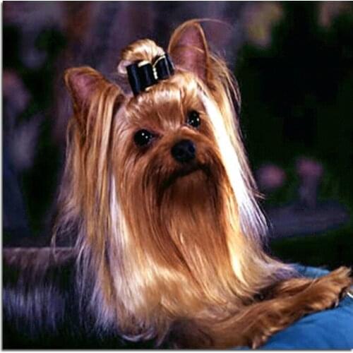 Diamond Painting Dog Embroidery Square/round Full Drill Kits Animals Art Picture Cross-stitch