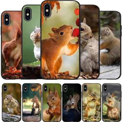 Chipmunk Silicone Phone Case For iPhone 11Pro Max 11 XR XS Max X 8 7 6 6S Plus 5 5S SE 2020 Cover