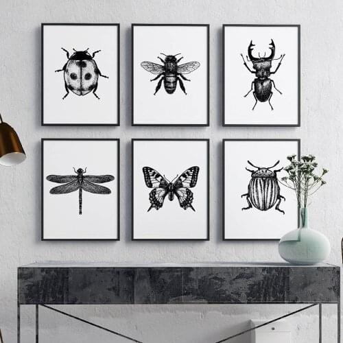 Insect Illustration Black And White Wall Art Canvas Painting Butterfly Bee insect Posters And Prints Pictures Living Room Decor