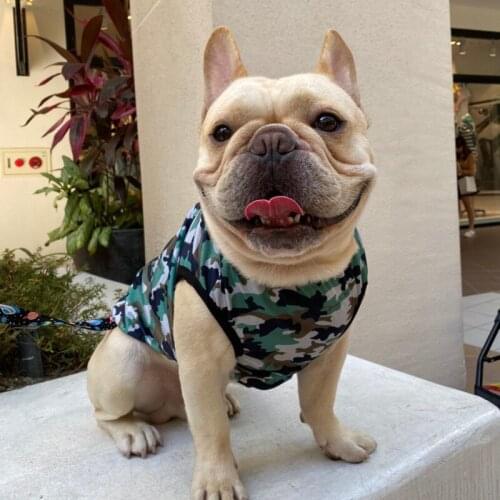 Dog Vest Teddy Bomi Small Dog Cold Ice Silk Summer Cooling Clothing Ko Fund Hair Pet Summer Dress