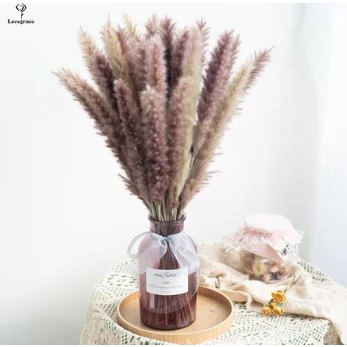 15 Pcs Wedding Use Pampas Grass Bunch Natural Dried Flowers Plants Reed Raw Color Pampas Bunch Valentines Day Gift Pampas Grass